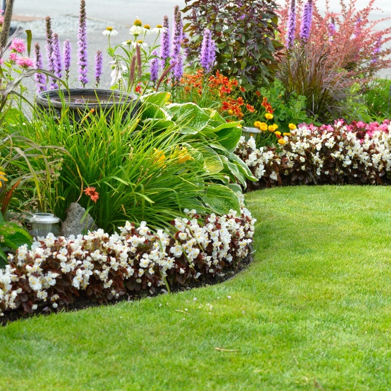 Landscaping Sydney | #1 Landscaper | All Green Gardening