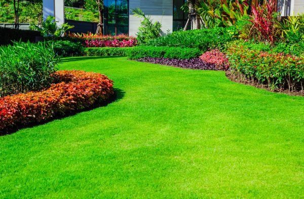 residential lawn care