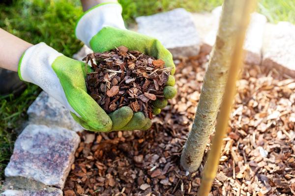 Image describes Mulching Expert