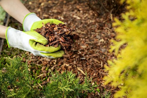 Image describes Mulching Services