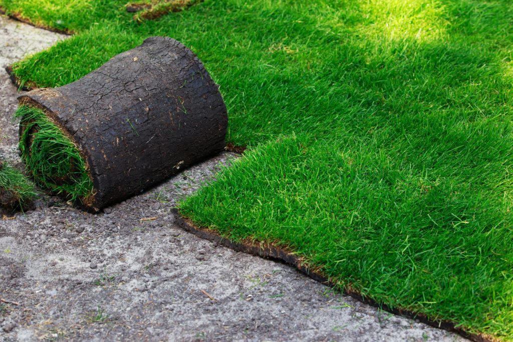 Artificial Turf Laying