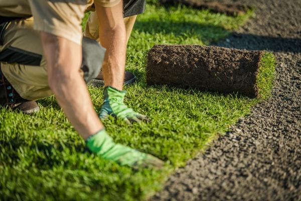 Image describes Turf Laying Services