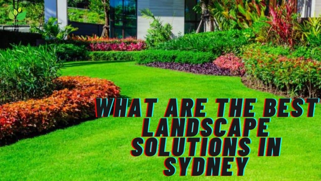 What Are The Best Landscape Solutions In Sydney