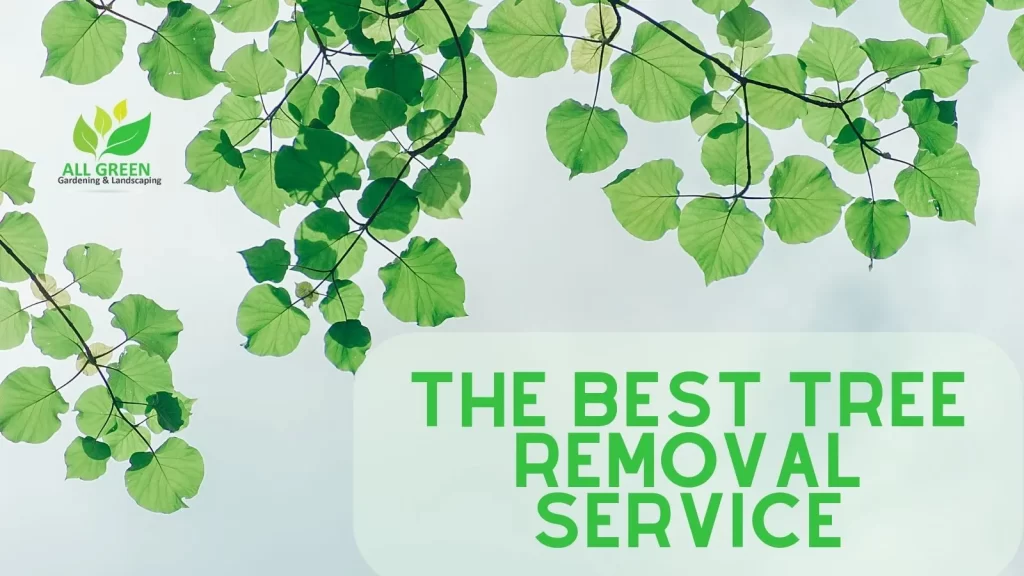 the best tree removal servic all green gardening service