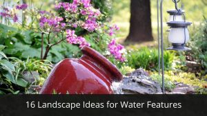 image represents 16 Landscape Ideas for Water Features