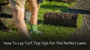 image represents How To Lay Turf Top Tips For The Perfect Lawn