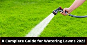 image represents A Complete Guide for Watering Lawns 2022