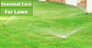 image represents Seasonal Care For Lawn