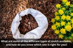 Image presents What are some of the different types of mulch available