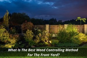 Image presents What Is The Best Weed Controlling Method For The Front Yard - Local Gardeners