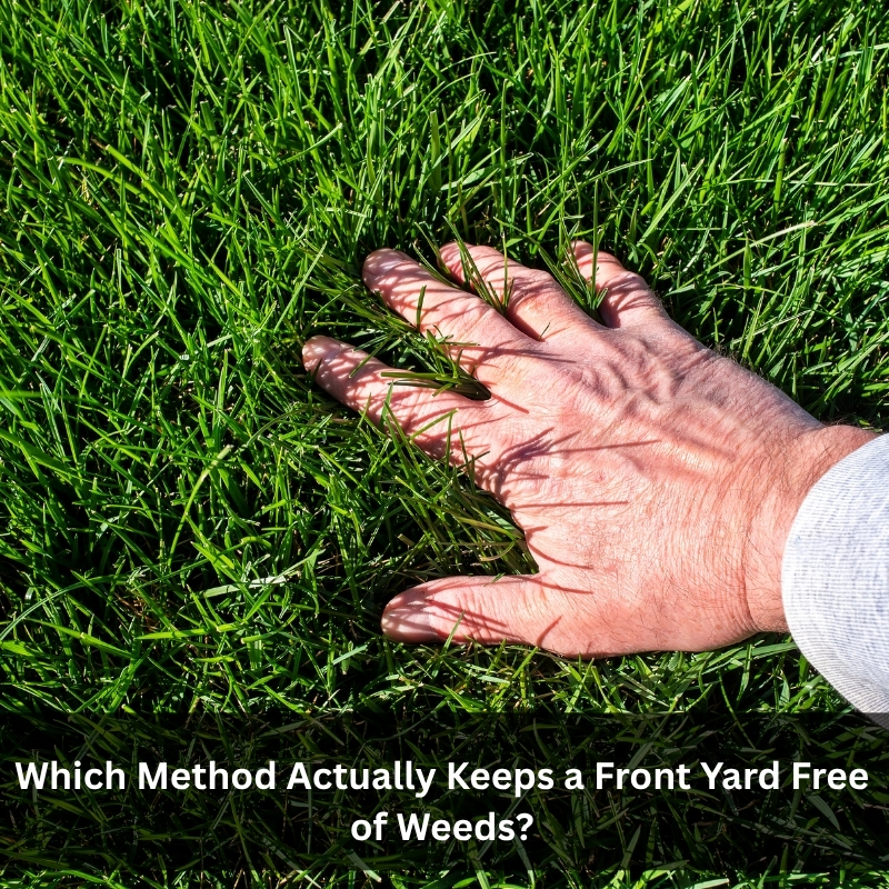 Hand resting on vibrant green lawn grass