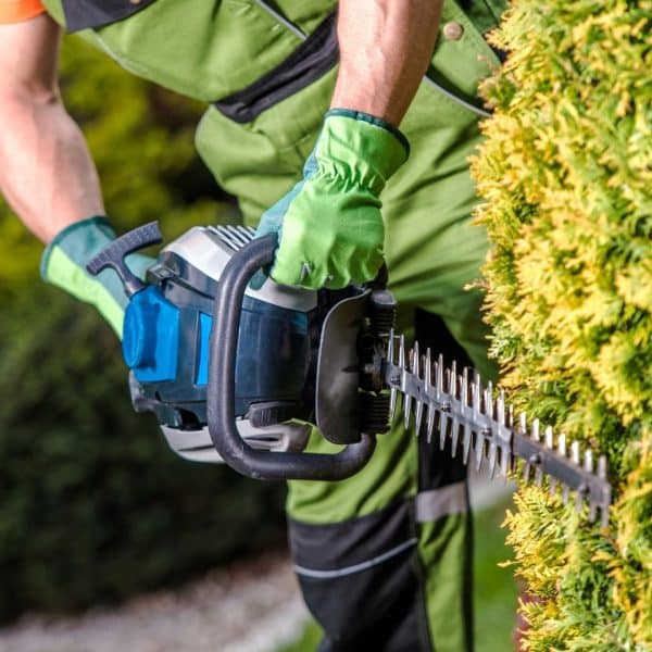 Gardener Sydney Best Gardening Services All Green Gardening