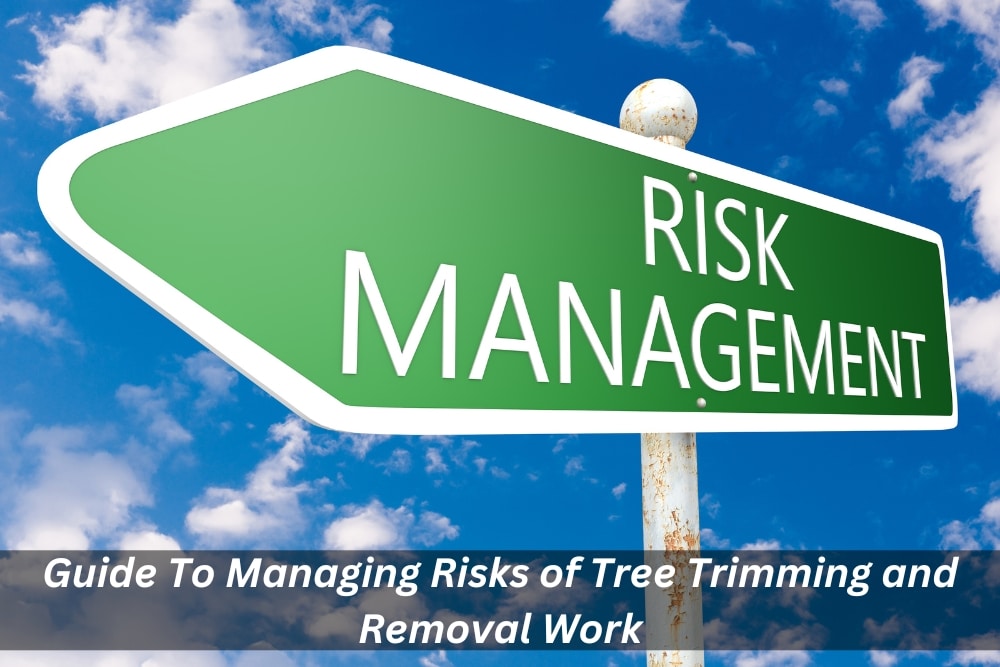 Image presents Guide To Managing Risks of Tree Trimming and Removal Work