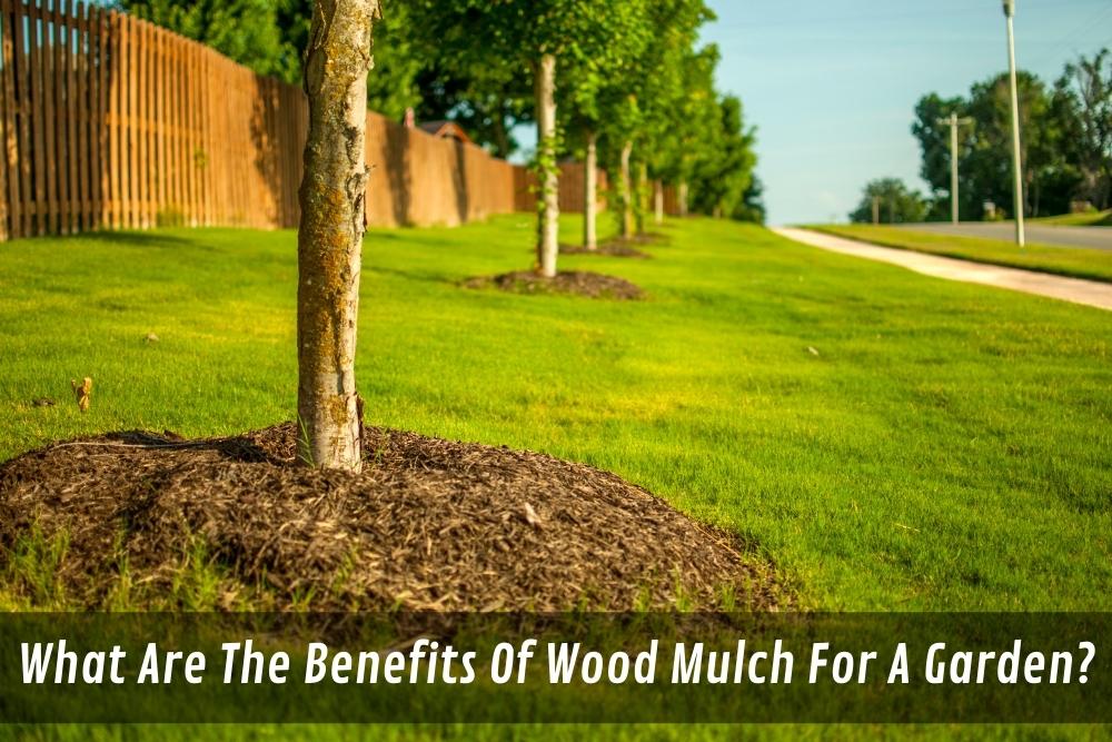 Image presents What Are The Benefits Of Wood Mulch For A Garden