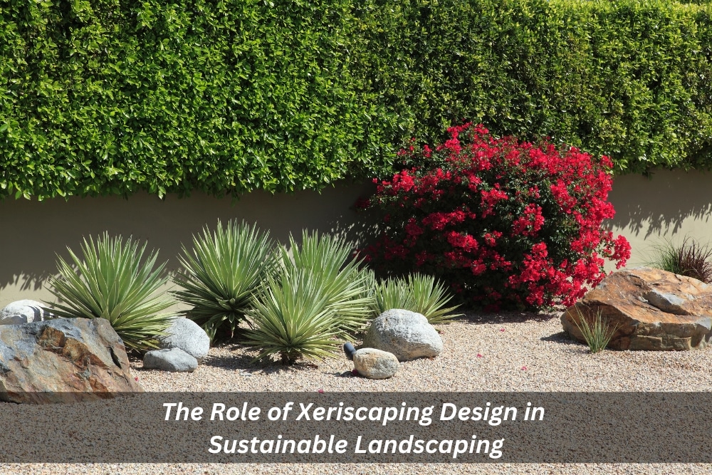 Image presents The Role of Xeriscaping Design in Sustainable Landscaping