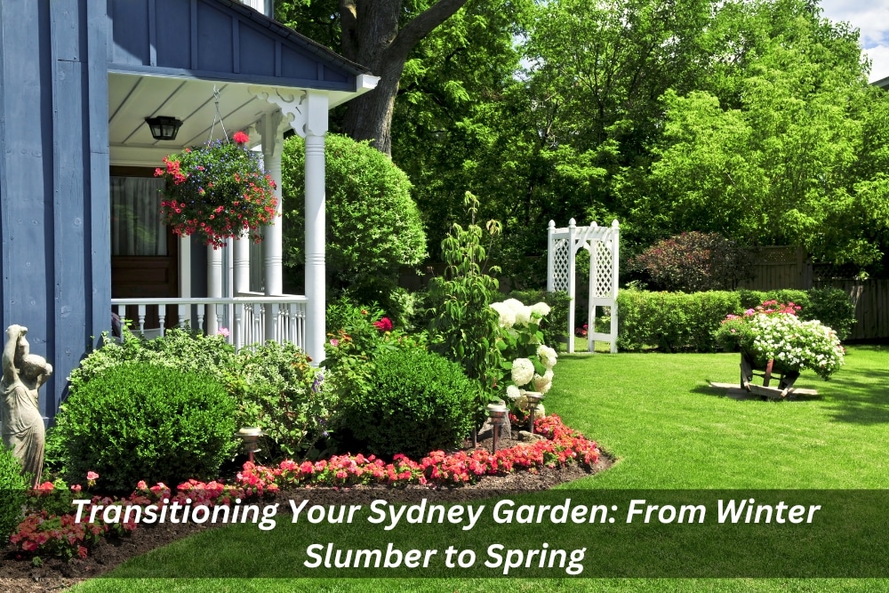 Image presents Transitioning Your Sydney Garden From Winter Slumber to Spring