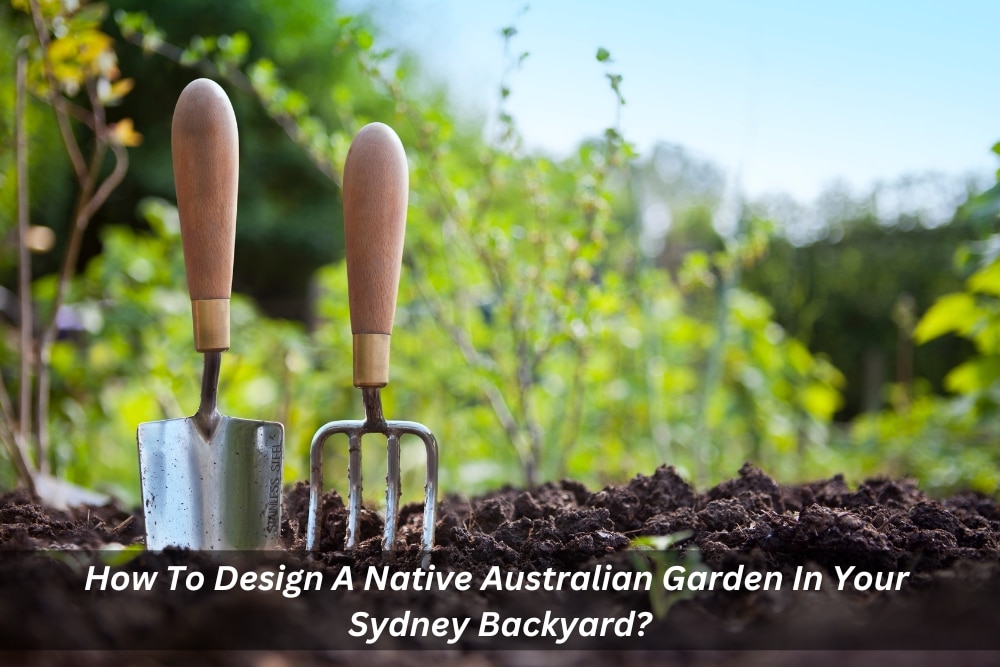 Image presents How To Design A Native Australian Garden In Your Sydney Backyard