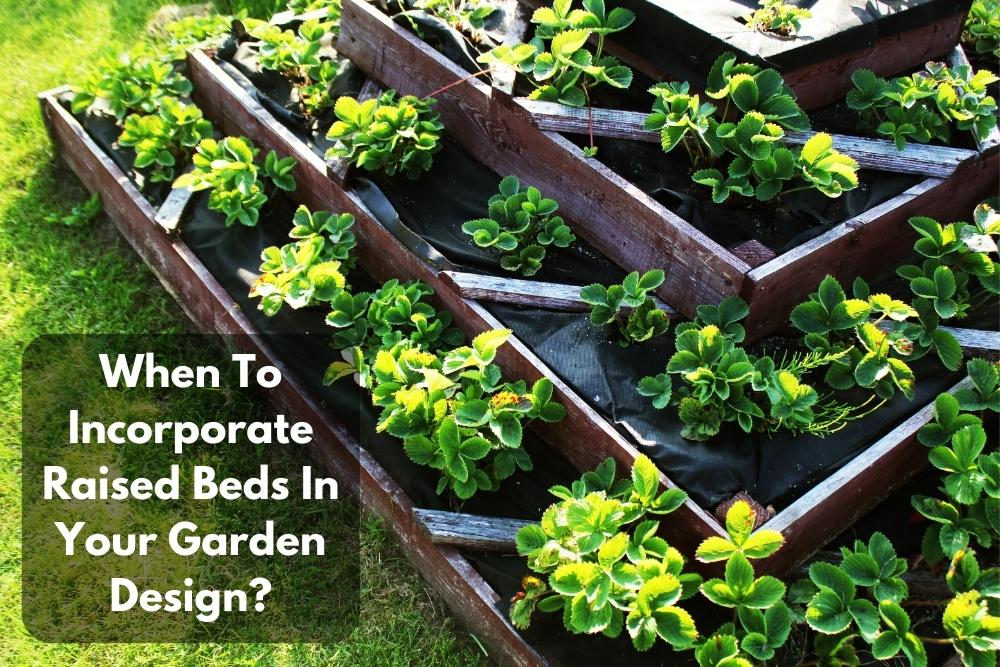 Image presents When To Incorporate Raised Beds In Your Garden Design