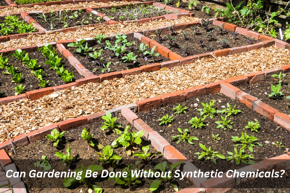 Image presents Can Gardening Be Done Without Synthetic Chemicals