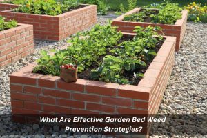 Image presents What Are Effective Garden Bed Weed Prevention Strategies