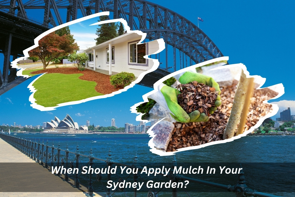 Image presents When Should You Apply Mulch In Your Sydney Garden