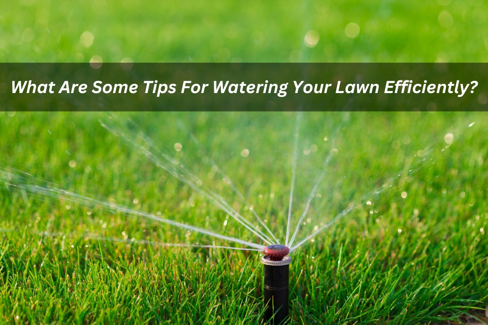 Image presents What Are Some Tips For Watering Your Lawn Efficiently