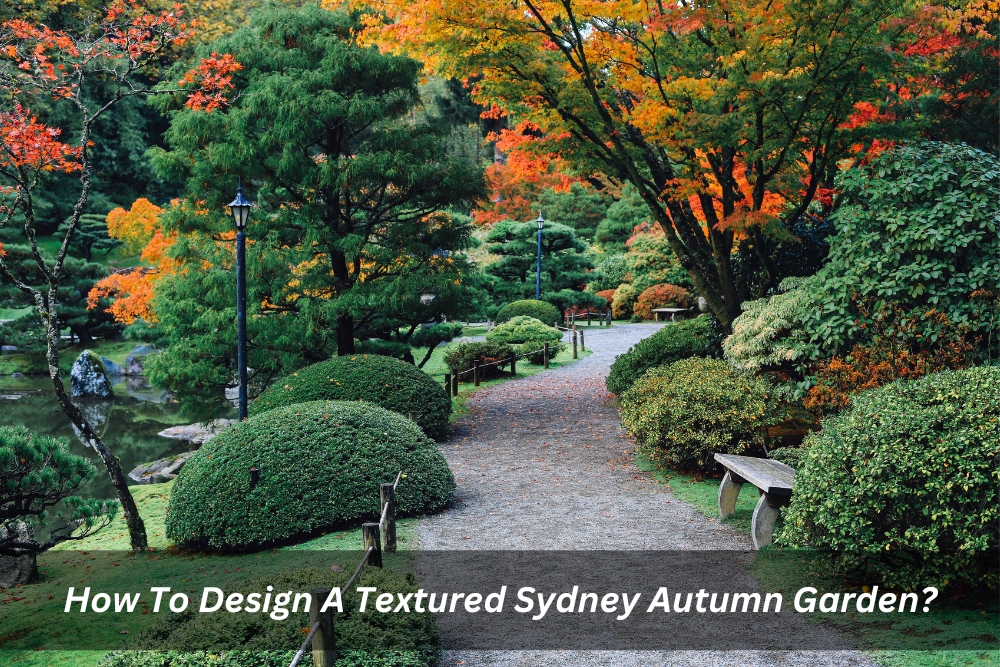 Image presents How To Design A Textured Sydney Autumn Garden