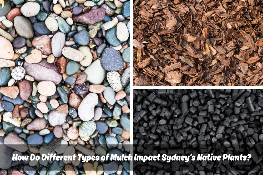 Split image comparing different mulch types. One side shows pebble mulch. The other side shows black rubber and brown wood mulch. Text overlay asks "How Do Different Types of Mulch Impact Sydney's Native Plants?"