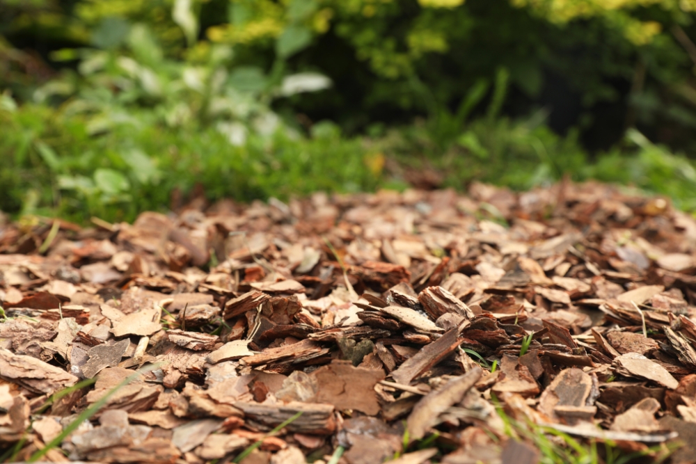 A pile of medium-sized wood chips mulch in a pile on light-colored gravel. The wood chips mulch is brown and has visible pieces of bark and wood.