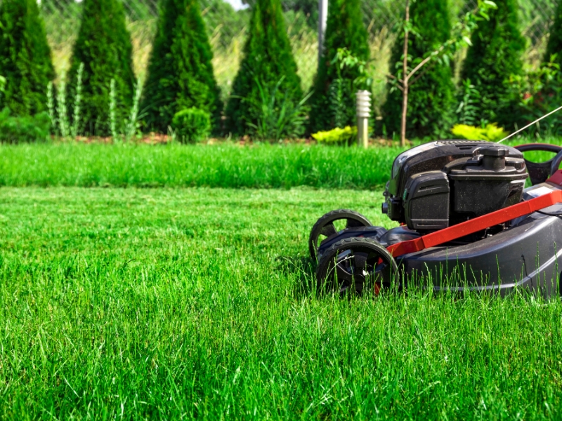 Manicured lawn bordered by a garden bed with trees and vibrant greenery in a backyard, illustrating the question: Can you mow wet grass?