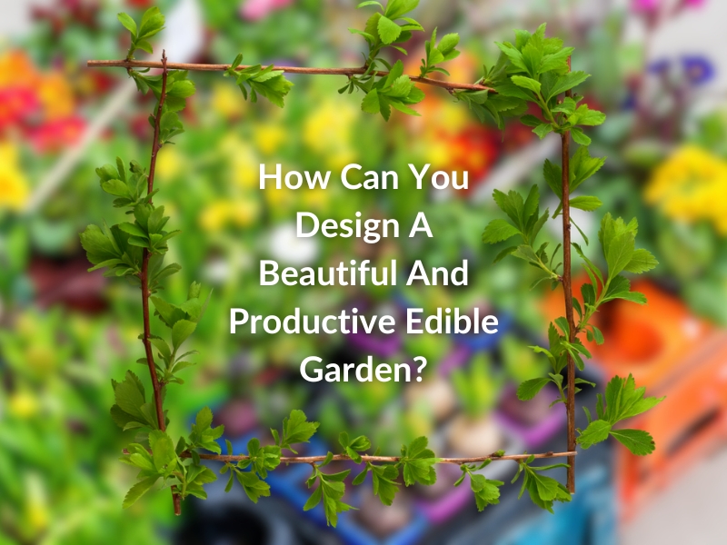 Text on blurred garden background: How Can You Design a Beautiful and Productive Edible Garden?