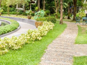 A landscaped garden path surrounded by lush grass and ground cover plants for erosion control and aesthetic appeal.