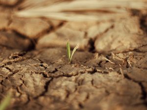 A close-up image of compacted soil, showing its dense and hard texture.