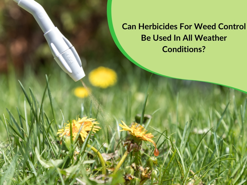 Close-up of a nozzle spraying a lawn with herbicide for weed control.