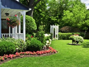 Well-maintained lawn with vibrant greenery and flowers, showcasing effective prevention against summer weeds.