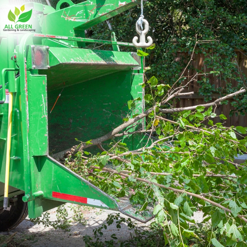 Image Presents Tree Services Abbotsbury