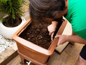 A person using compost as mulch in a garden bed, enriching the soil with organic nutrients for plant growth.