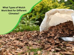 A bag of mulch spills onto a garden bed, showcasing different types of mulch suitable for various climates.