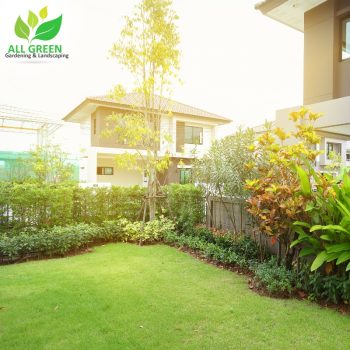 Garden Landscaping - All Green Gardening & Landscaping