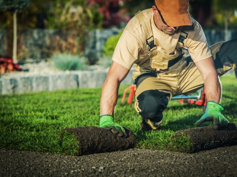 landscaping for erosion control
