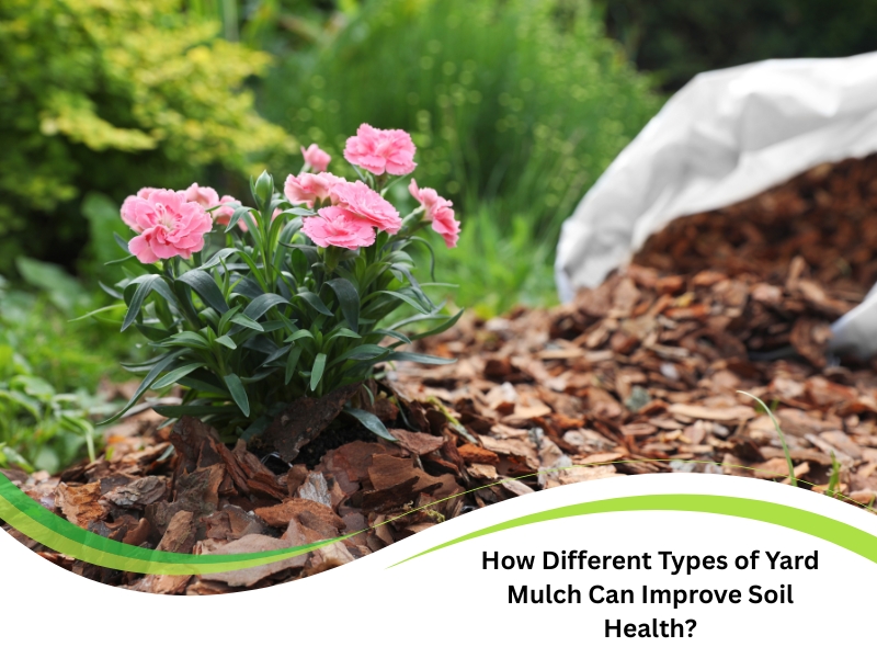 A close-up shows pink flowers growing amongst wood chip types of yard mulch, with a bag of mulch in the background.