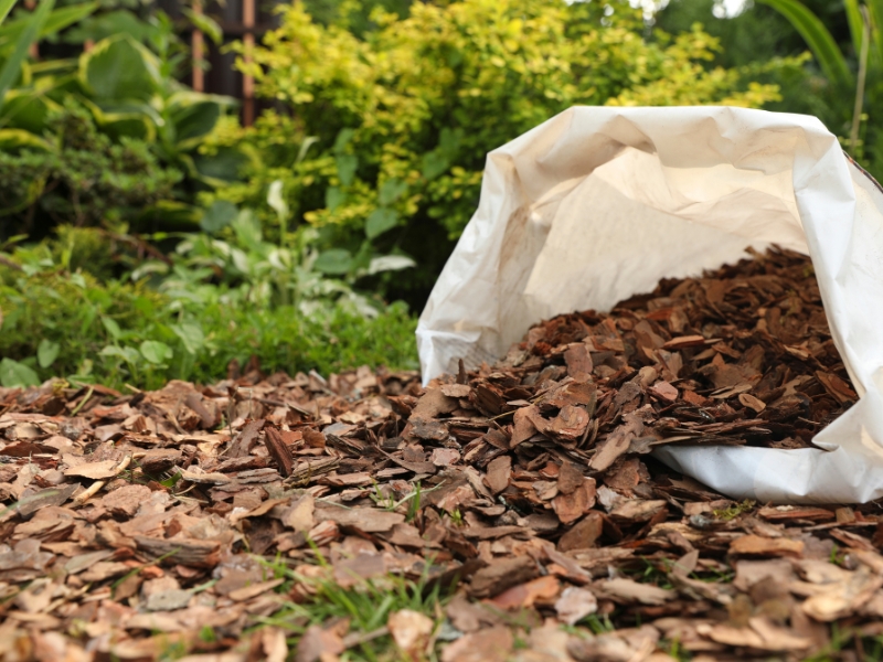 A white bag tipped over, spilling brown bark types of yard mulch onto the garden bed.