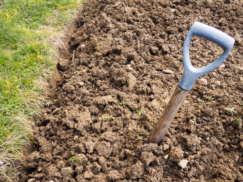 Unmulched garden bed soil before applying straw mulching