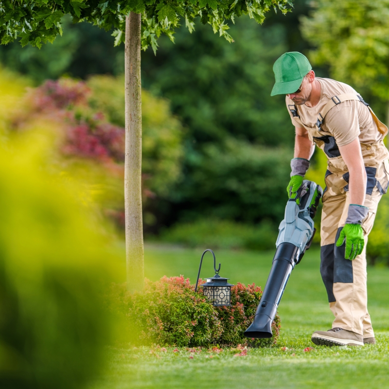 Gardener Guildford NSW | #1 Gardening Services in Guildford