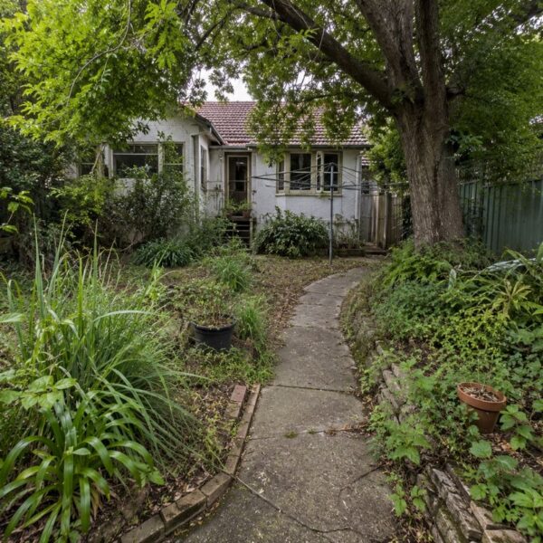 Overgrown established garden on a compact Canterbury block before renewal