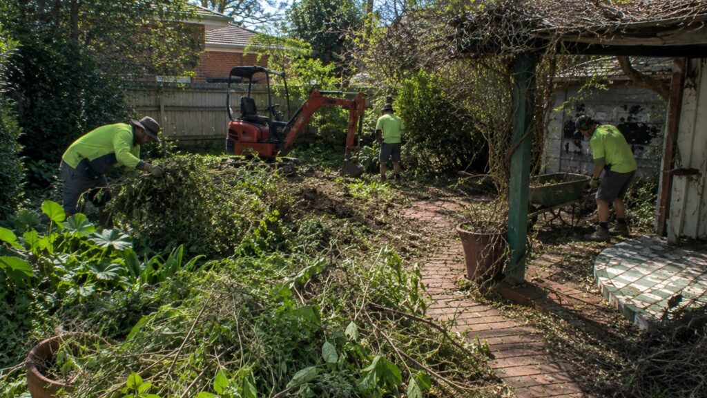 Clearing decades of overgrowth on a Canterbury renewal
