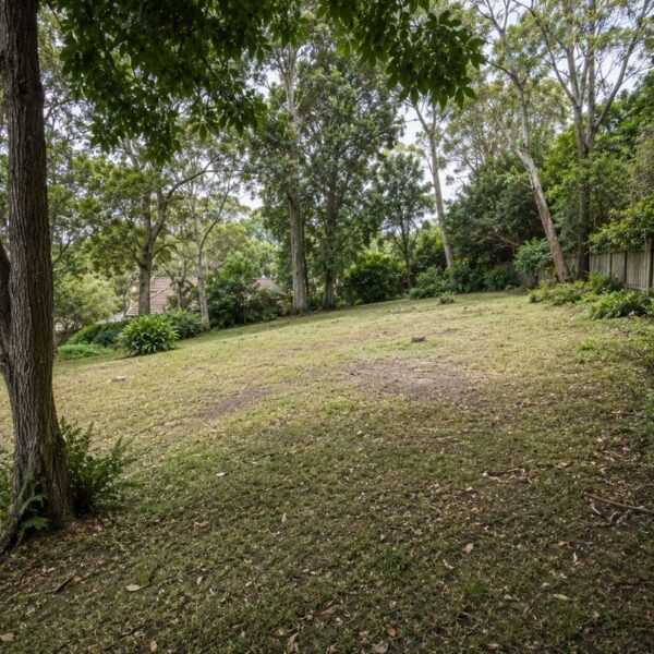 Large undulating leafy block on the North Shore before landscaping
