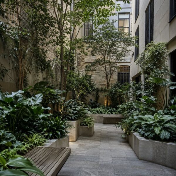 Shaded city courtyard between buildings planted with shade-tolerant greenery in the Sydney CBD